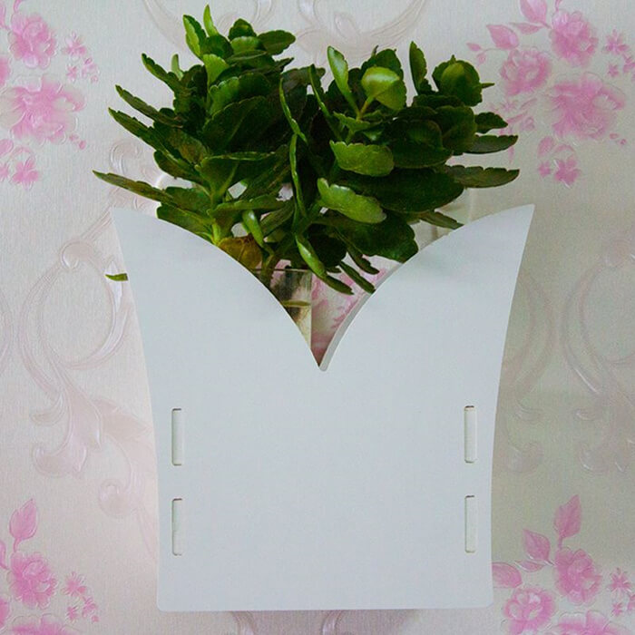 green-plant-wall-shelf-pot-holder