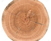 annual rings of solid wood