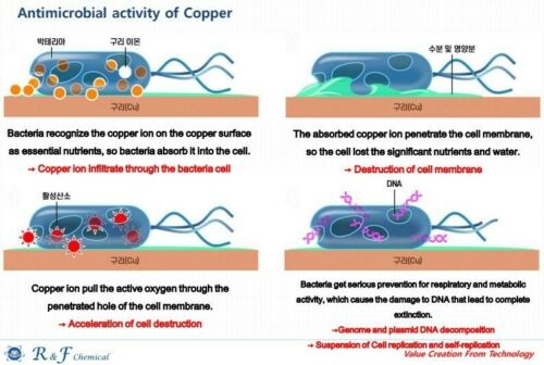 antimircbial-activity-of-copper