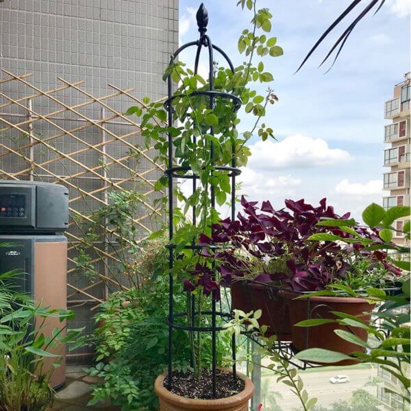 Metal- Cage -Plant -Stand -Metal -Trellis -For -Climbing -Plants -Vertical -Garden -Caged -Shape -Plant -Support