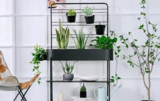 Multi-purpose -Iron- Indoor -Plant -Stand -Display- Shelf -With- Railing -For -Hanging -Plants -And Hanging Baskets