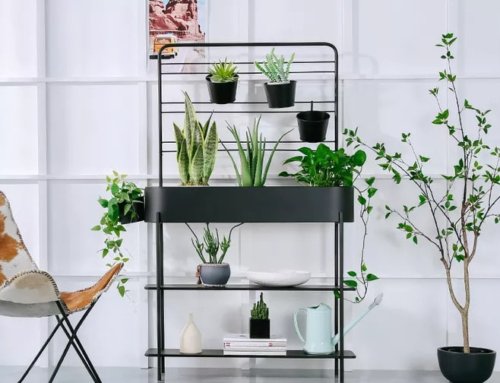 30 Stunning Indoor Plant Stand Ideas For Lazy Housewife
